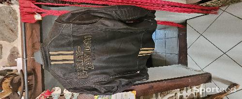 Blouson Harley Davidson 
