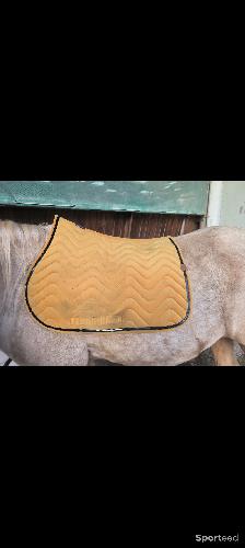 Tapis equitheme 