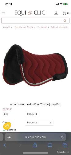 Amortisseur equitheme