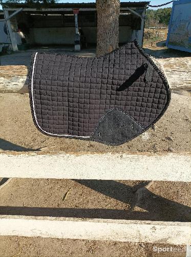 Tapis