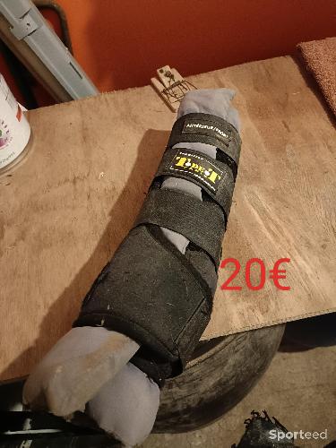 Guetre de transport poney