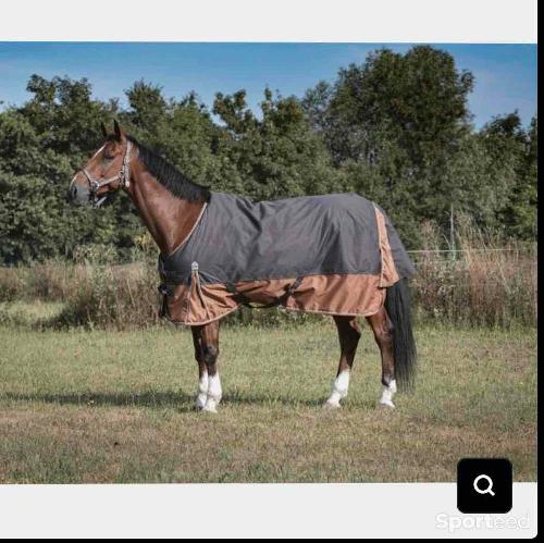 Equitation - Couverture cheval 50g  - photo 4