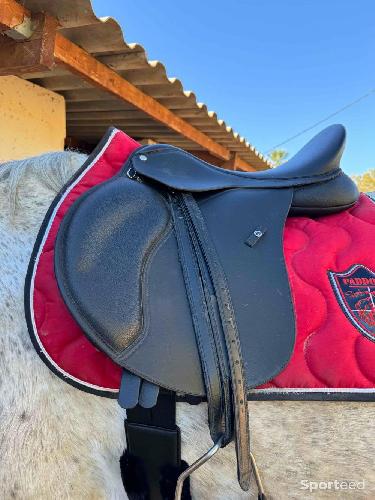 Equitation - Selle wintec  - photo 4