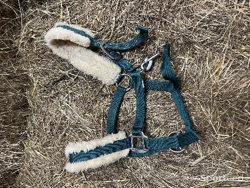 Licol vert moumoute taille poney 