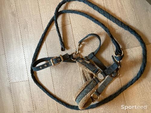 Licol avec sa longe