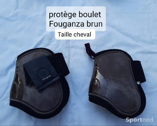 Protege boulet taille cheval