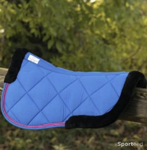 Amortisseur Equitheme Bleu