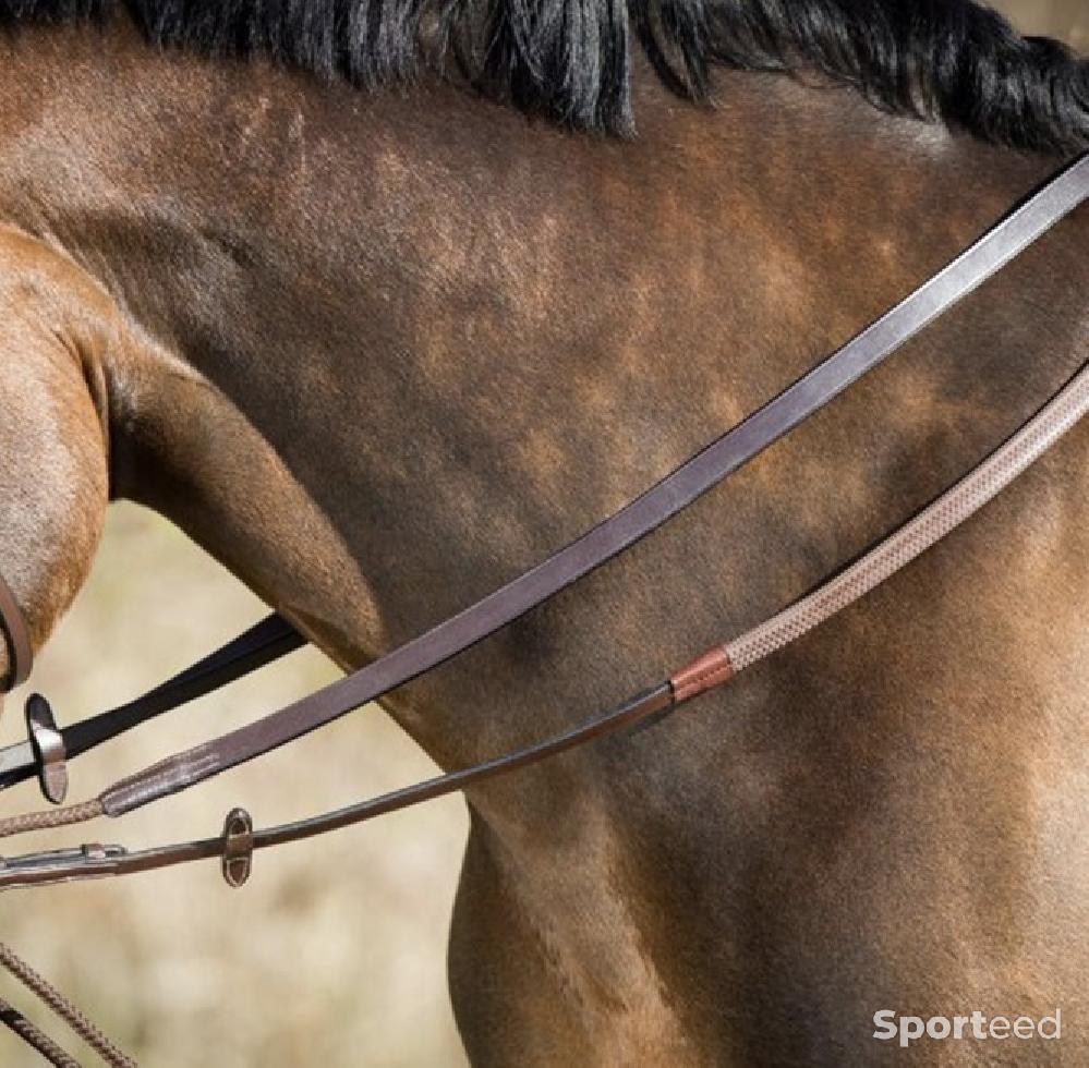 Equitation - Rênes allemandes - photo 1