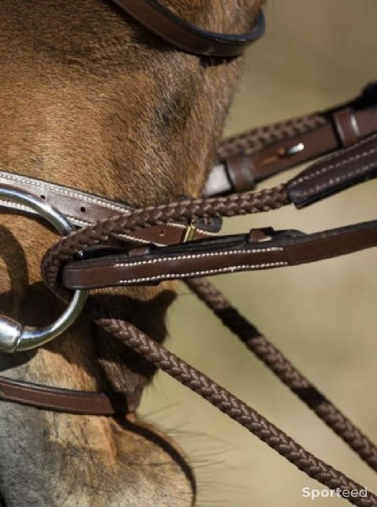 Equitation - Rênes allemandes - photo 2