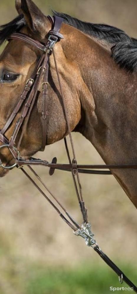 Equitation - Gogue cuir brun - photo 1