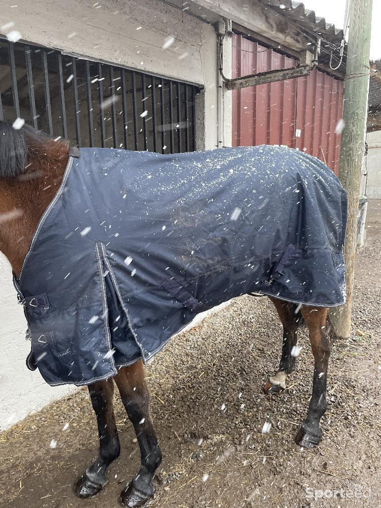 Equitation - Couverture imperméable polaire  - photo 1