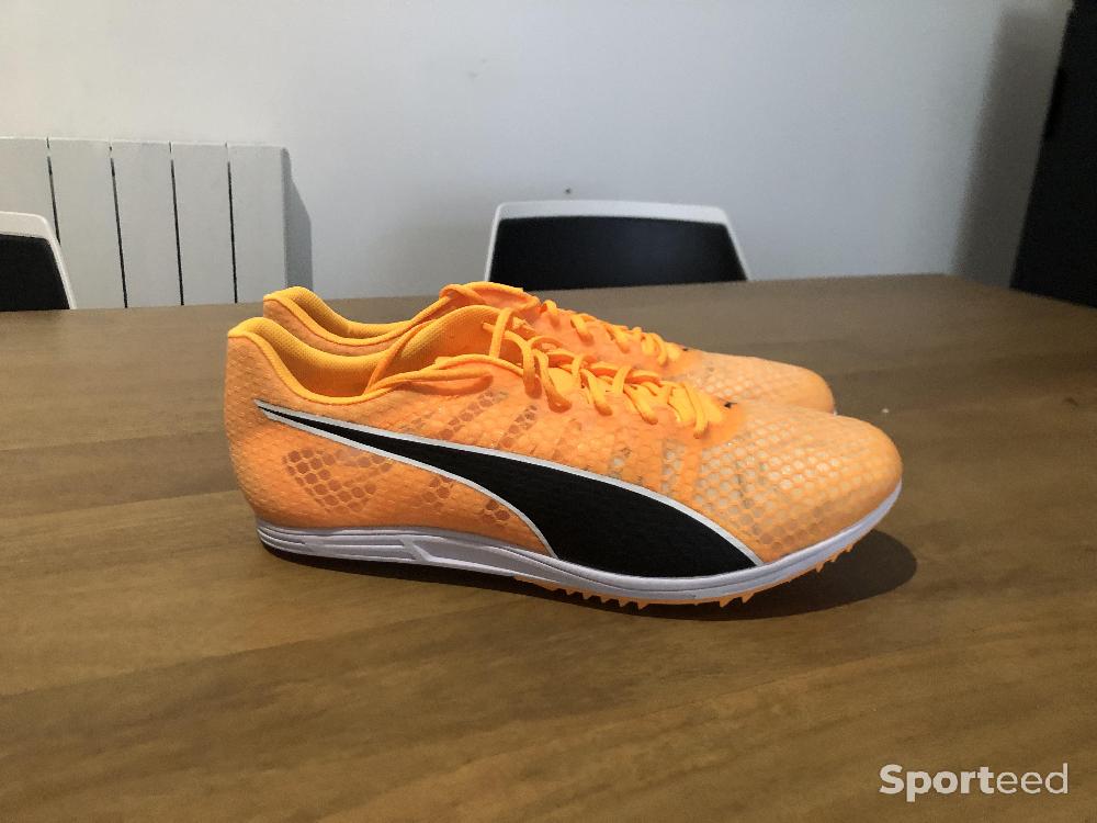 Athlétisme - Chaussures Pointes Puma Evospeed Distance 11 - photo 1