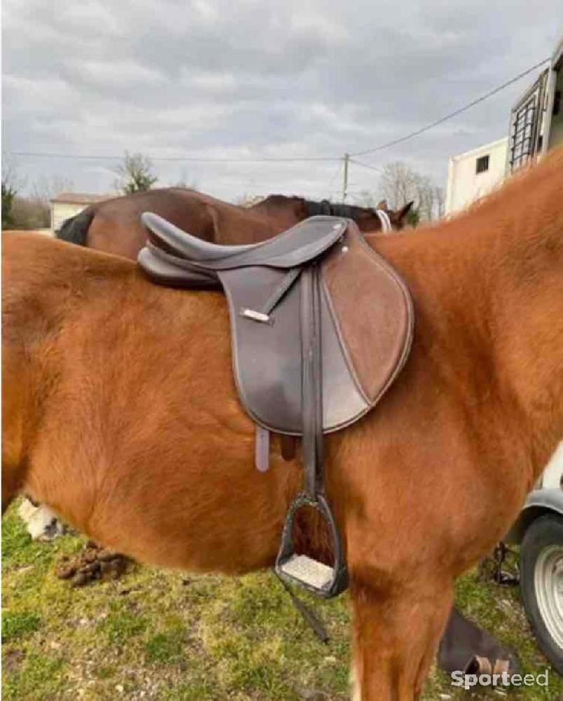 Equitation - Selle équitation  - photo 2