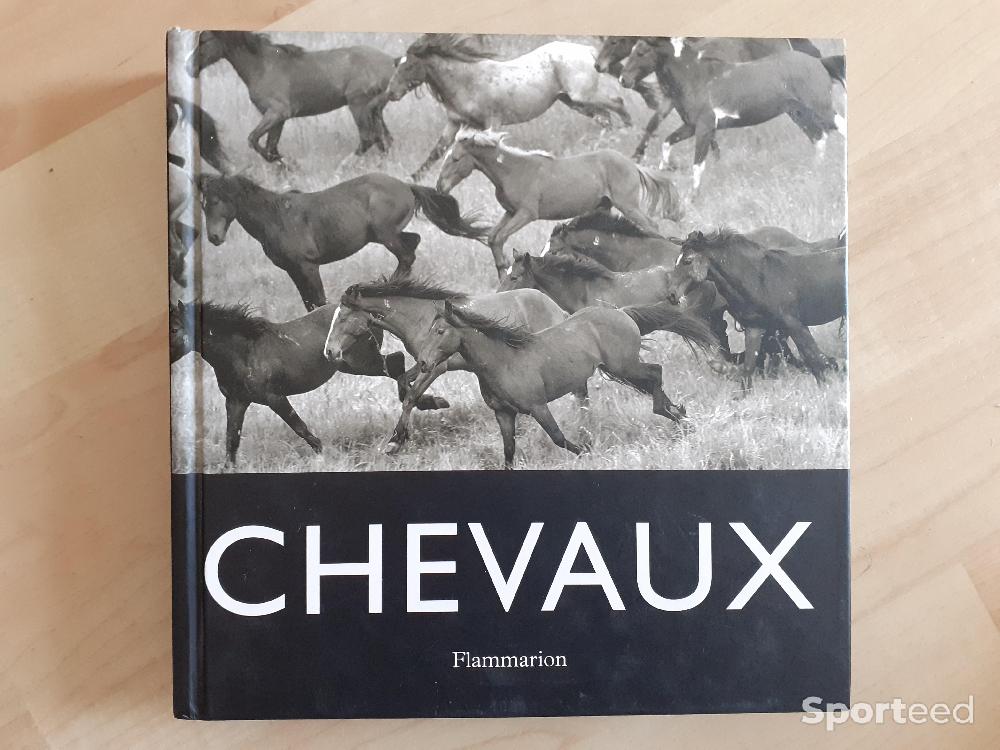 Equitation - Livre Chevaux - photo 1