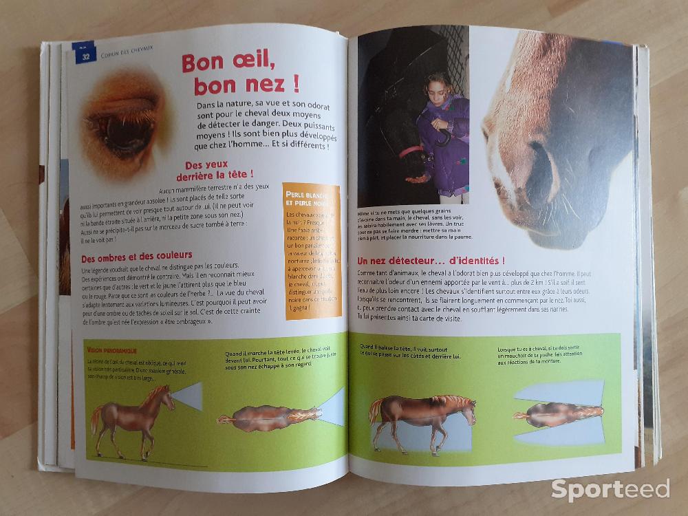 Equitation - Livre copains des chevaux  - photo 5