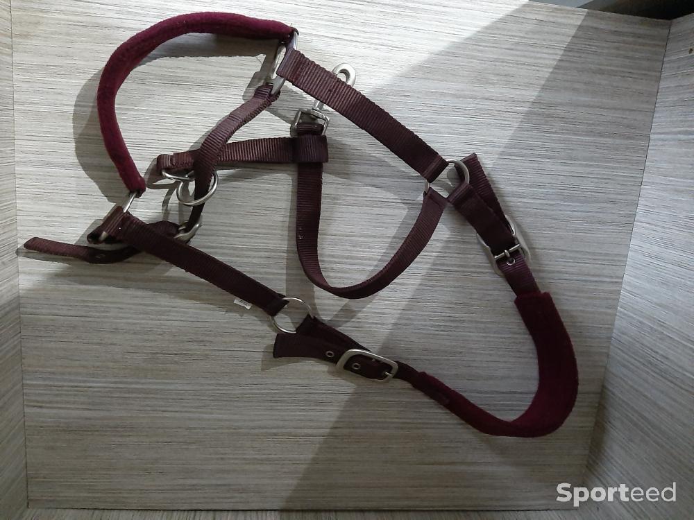 Equitation - Licol bordeaux taille full  - photo 3