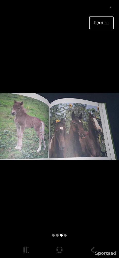 Librairie du sportif - Livre chevaux - photo 2