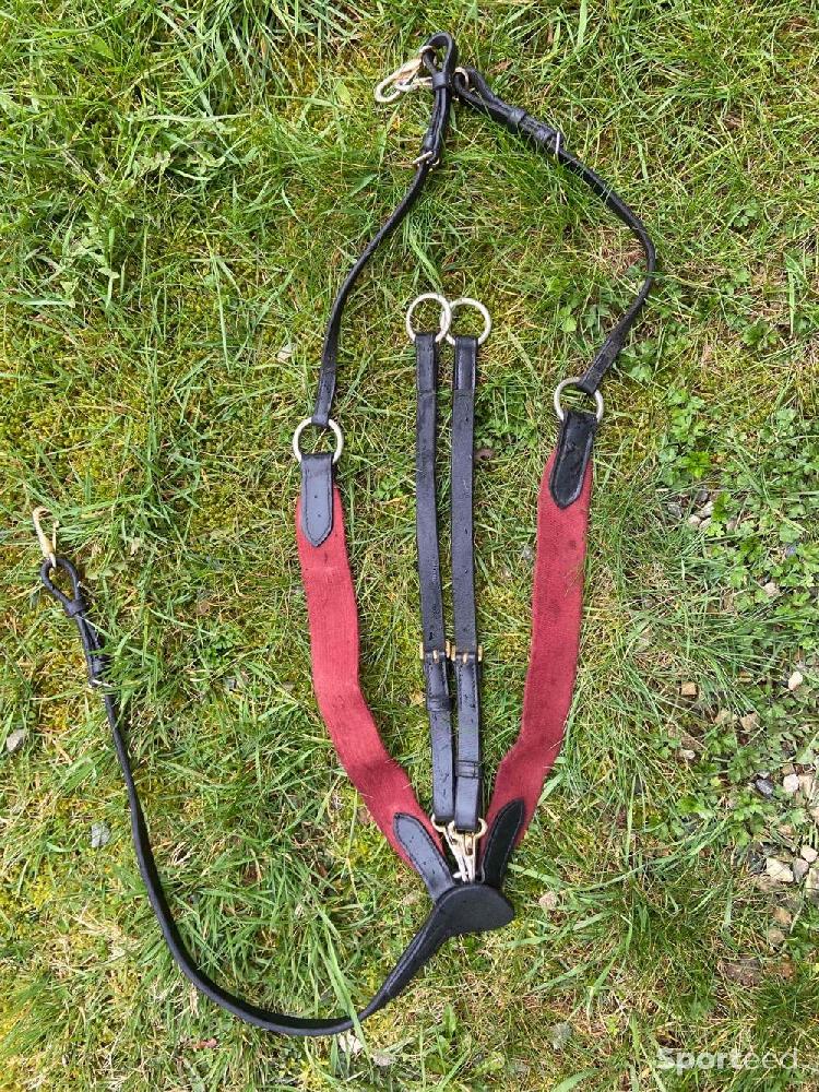 Equitation - Collier de chasse hfi master cuir noir élastiques rouge full - photo 2
