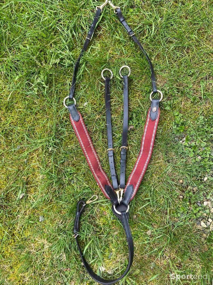 Equitation - Collier de chasse hfi master cuir noir élastiques rouge full - photo 3