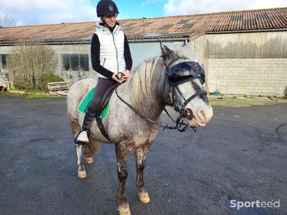 Equitation - Lunettes anti UV cheval - photo 1