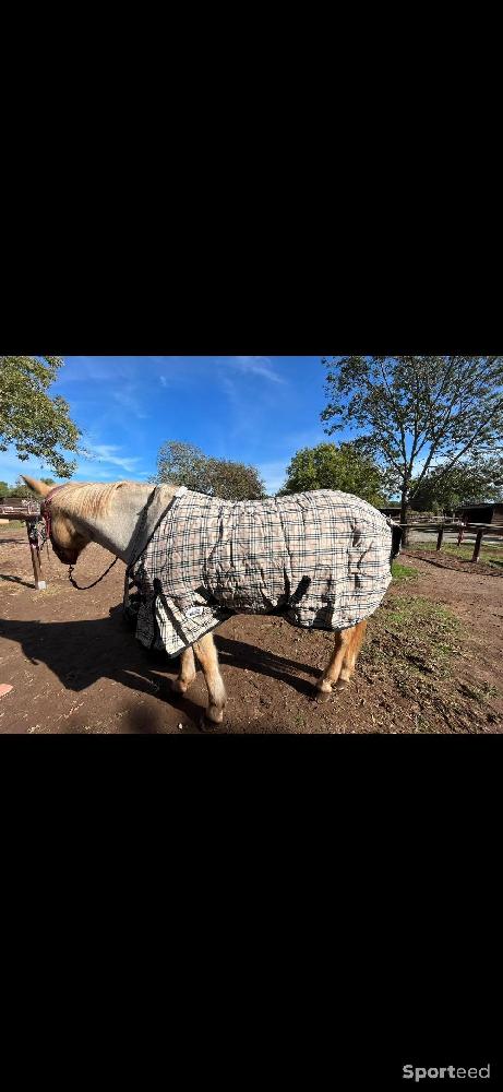 Equitation - Couverture de box - photo 1