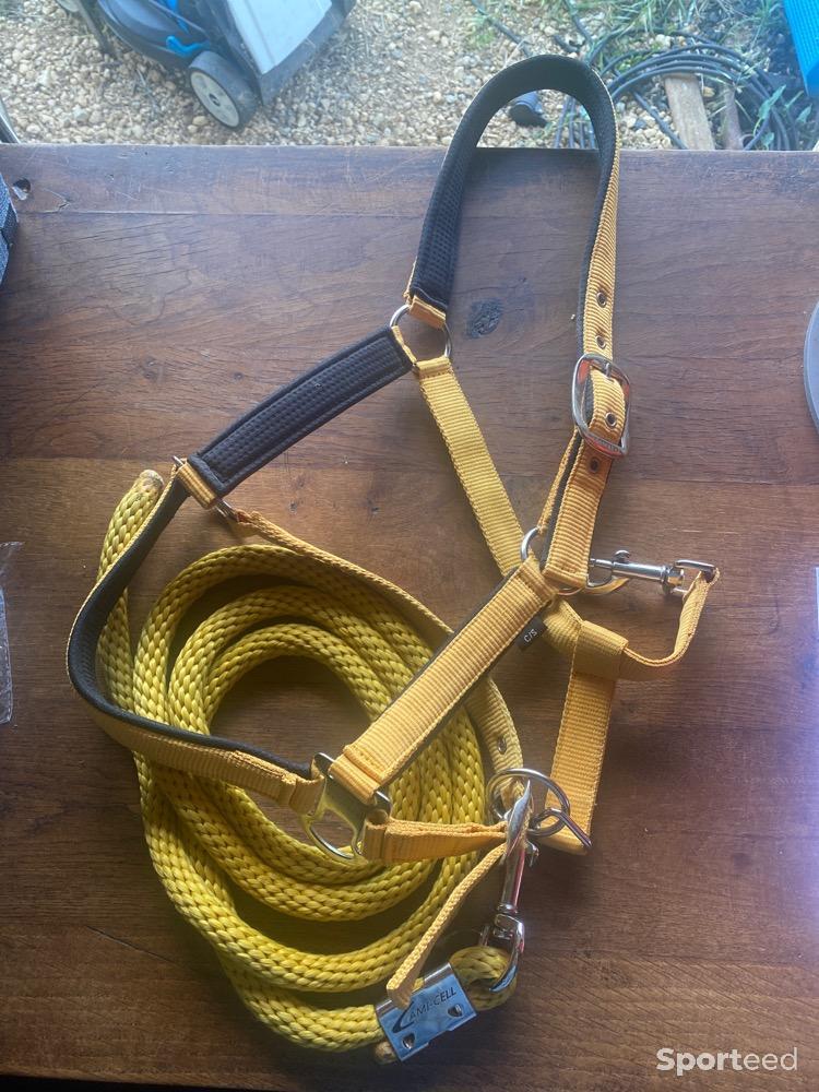 Equitation - Licol + longe lami cell - photo 1