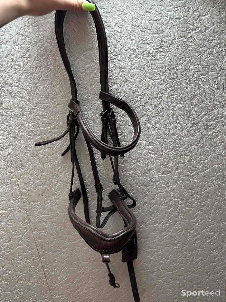 Equitation - Filet Norton  - photo 1