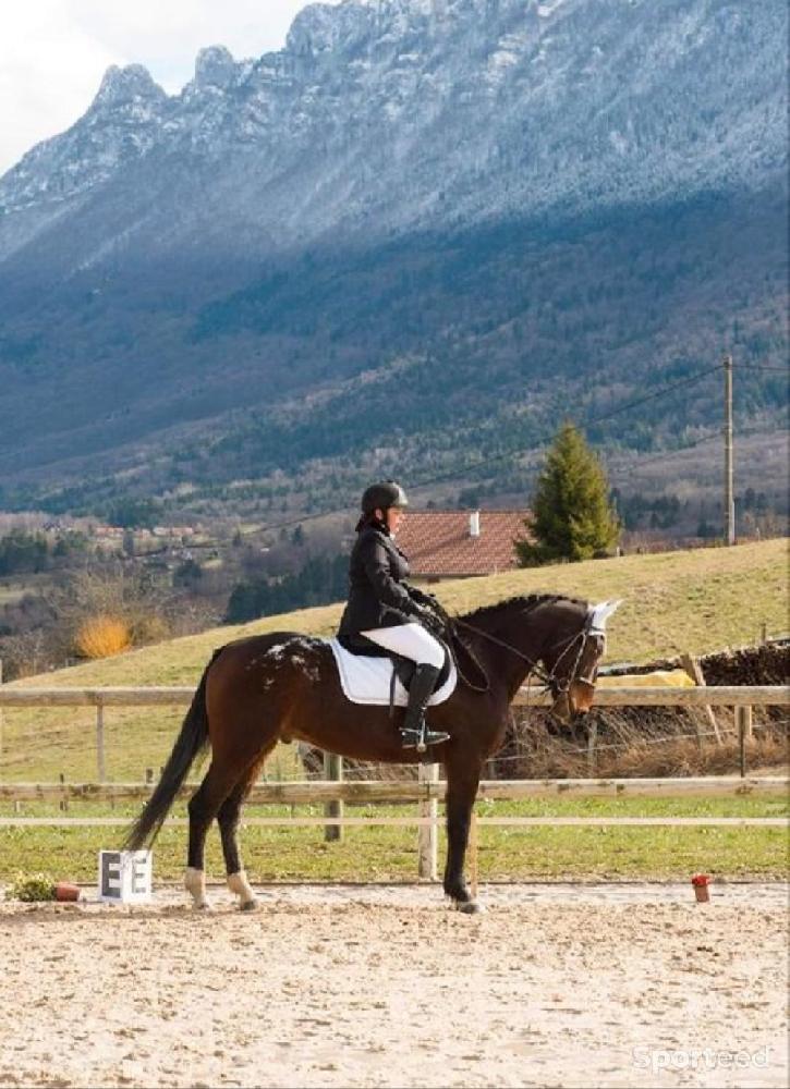 Equitation - Tapis blanc coupe CSO - photo 3