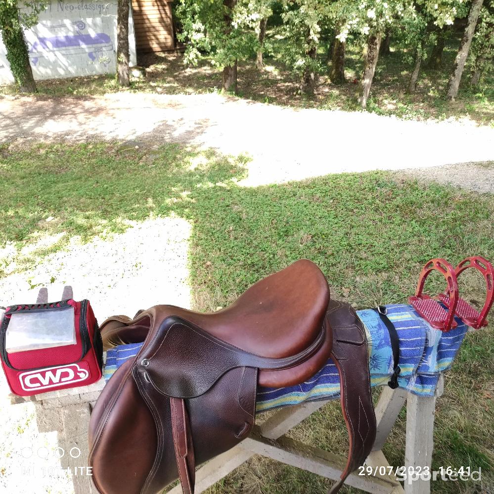 Equitation - Selle CWD 17,5 avec étrivières, sangle et kit de nettoyage  - photo 2