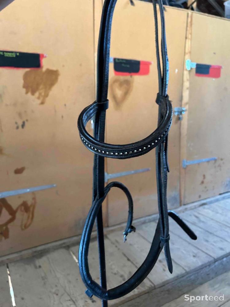 Equitation - Filet kramer noir taille poney  - photo 1