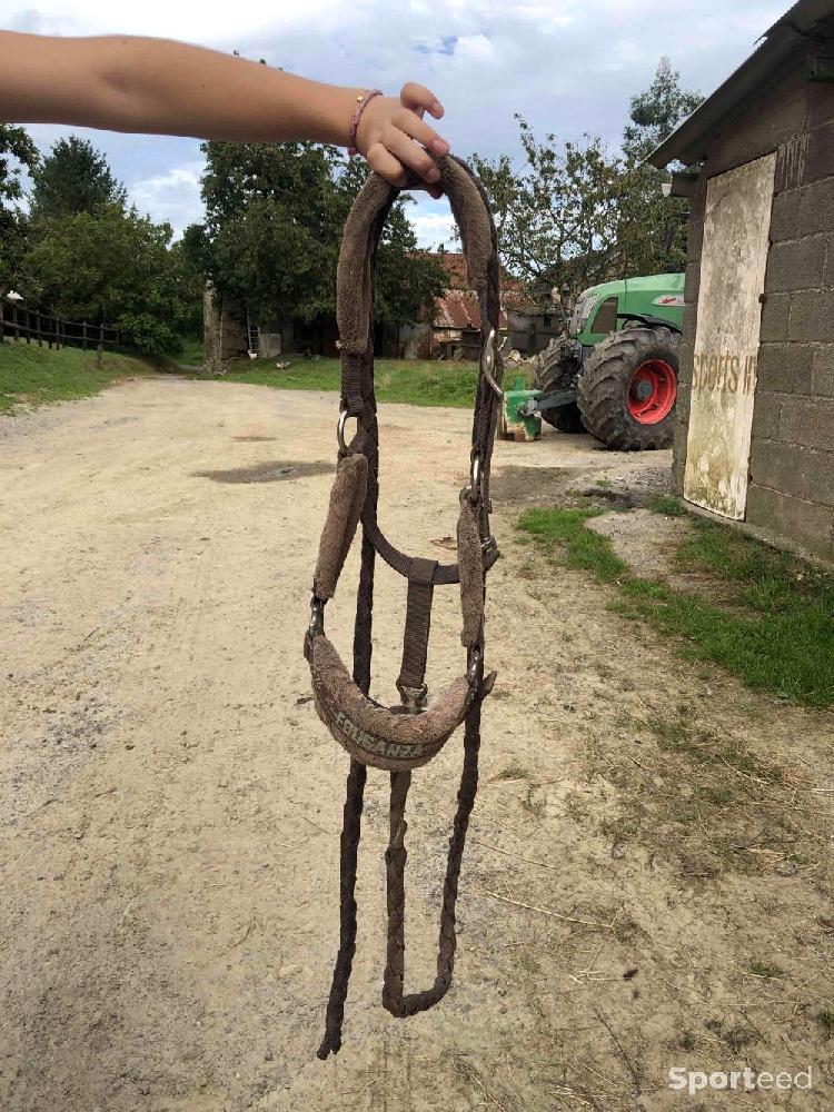 Equitation - Licol a moumoute marron taille poney/cheval  - photo 3