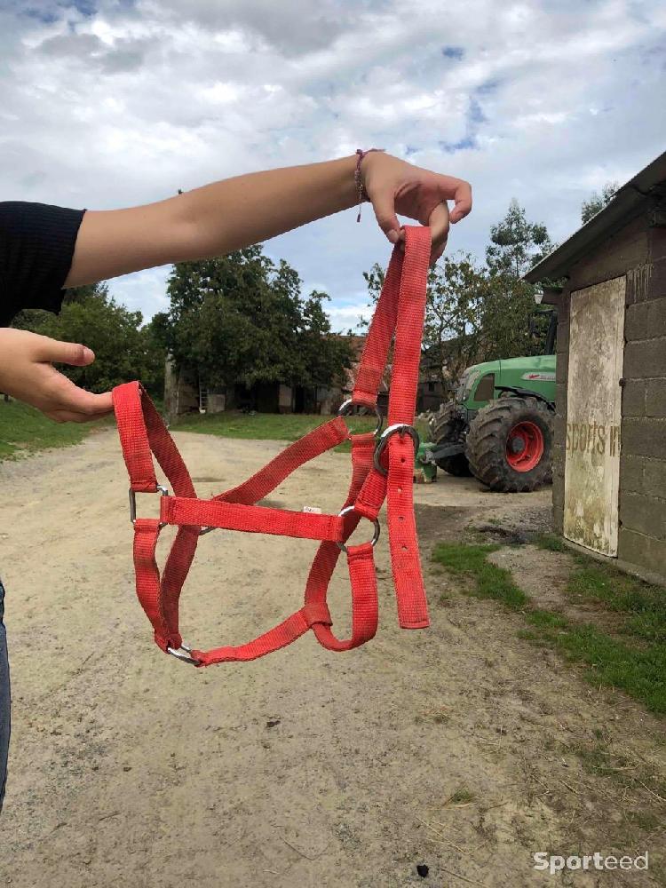 Equitation - Licol rouge léger taille cheval/cob  - photo 1