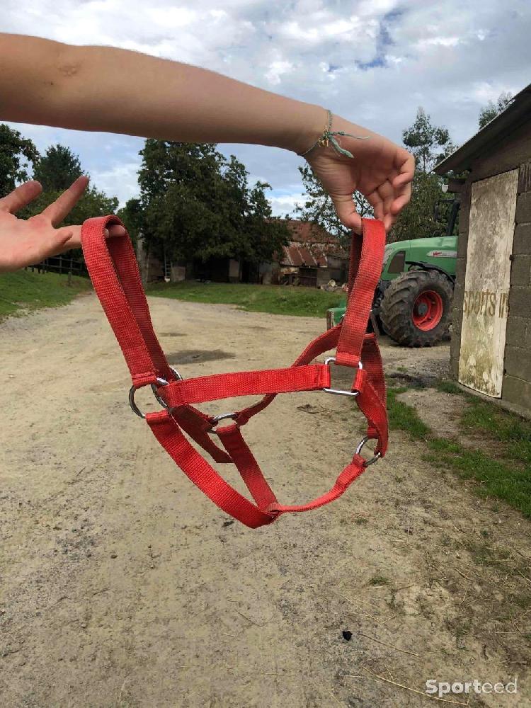 Equitation - Licol rouge léger taille cheval/cob  - photo 2