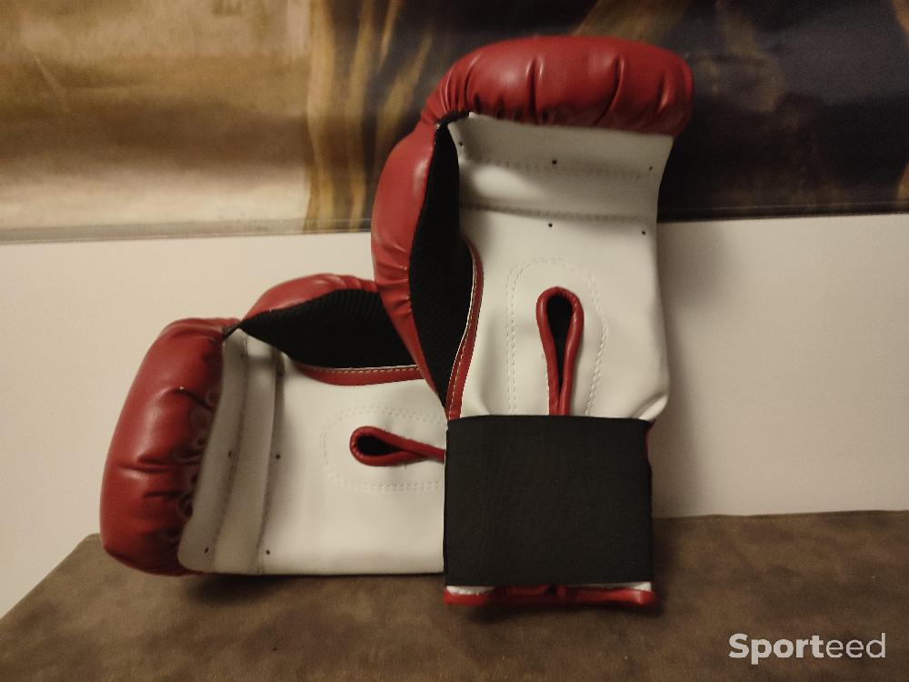 Boxes - Paire de gants de Boxe Boxing Gear Paolmares Genuine Fpx - photo 2