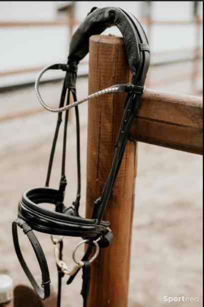 Equitation - Frontal Finesse - Cob - photo 5