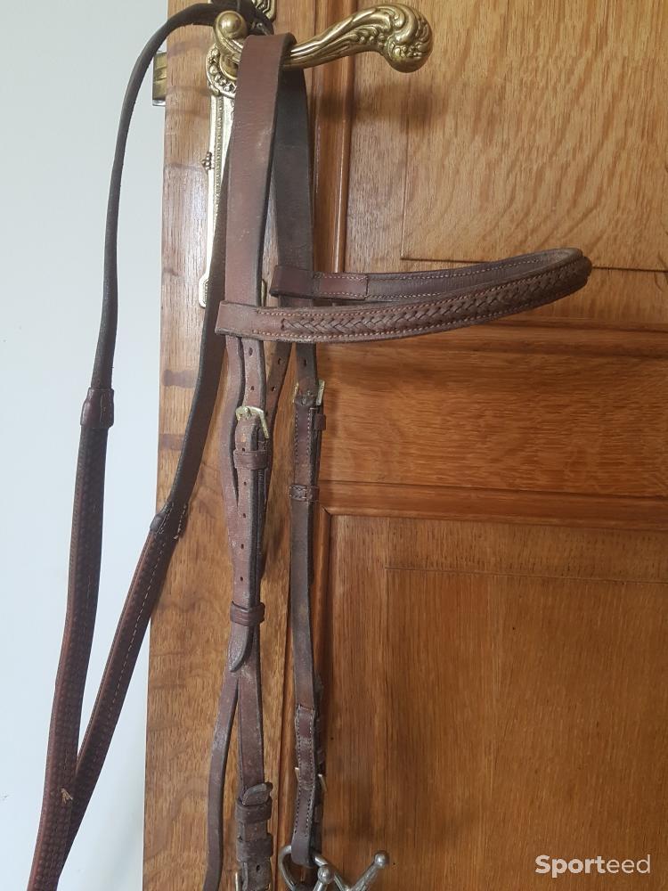 Equitation - Bridon brun taille cheval avec rennes - photo 1