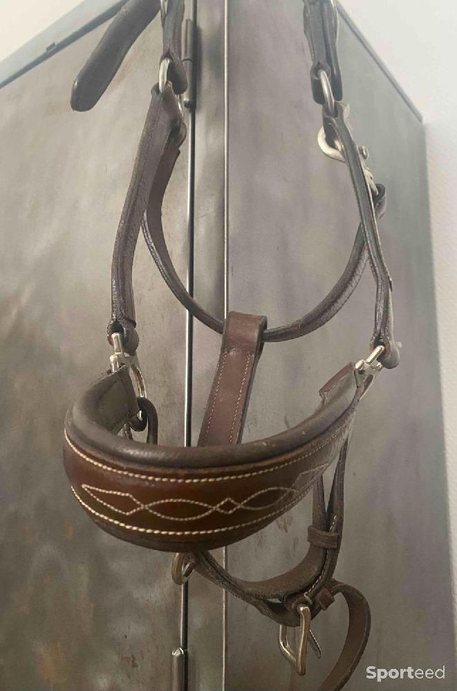 Equitation - Licol en cuir  - photo 3