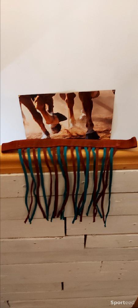 Equitation - Frontal - photo 1