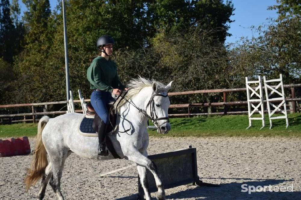 Equitation - Tapis mixte B Vertigo - photo 4