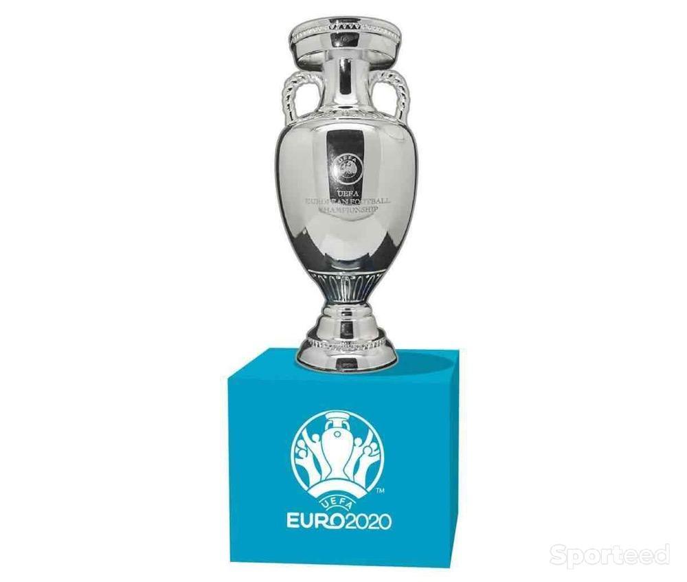 Sportswear - Trophée UEFA Euro Italie Réplique Argent - photo 1