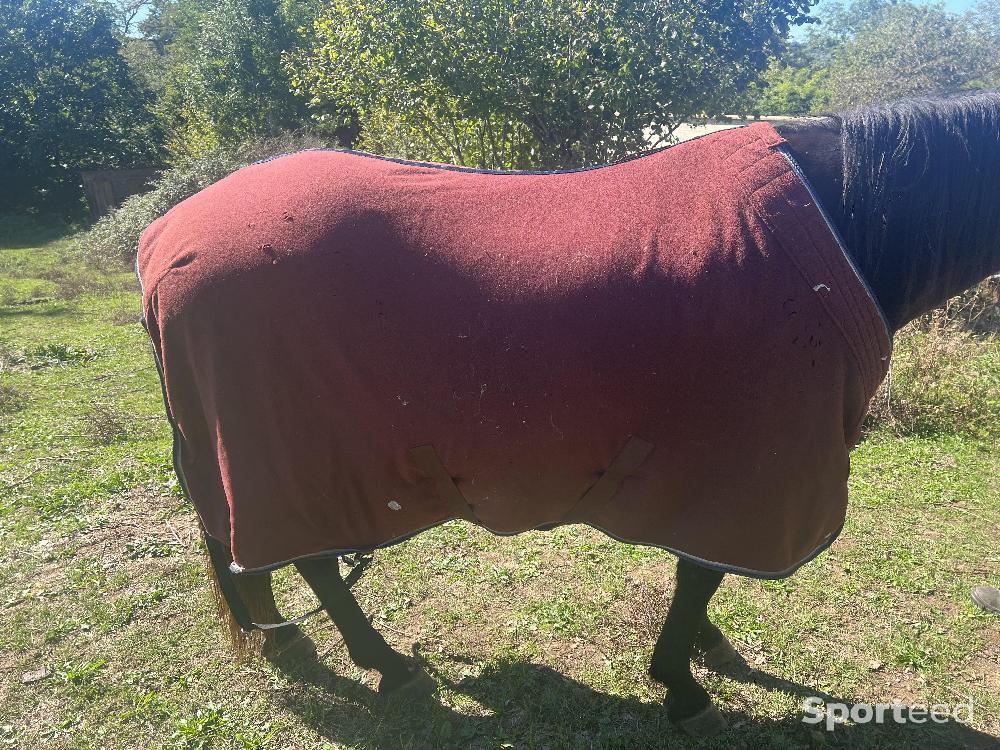Equitation - Polaire pour cheval  - photo 1