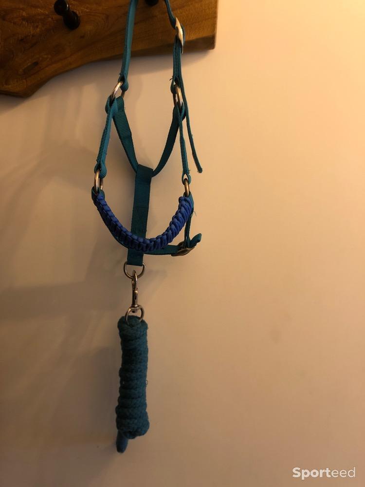 Equitation - Licol avec longe  - photo 1