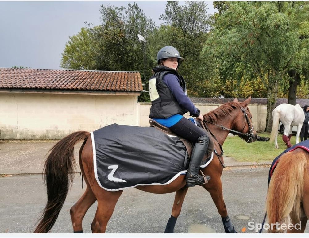 Equitation - Couvre reins horze  - photo 1