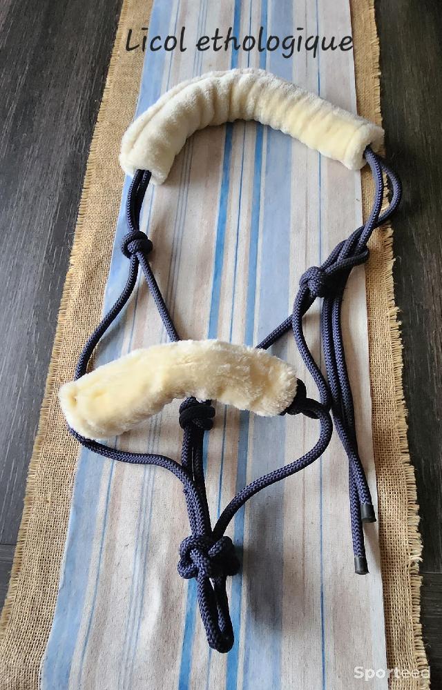 Equitation - Licol éthologique - photo 1