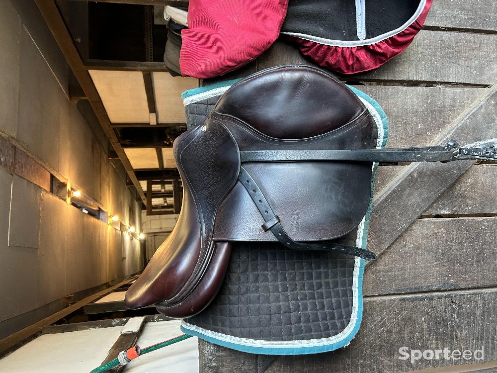 Equitation - Selle cwd  - photo 1