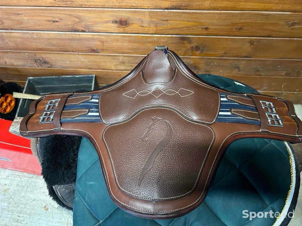 Amortisseur Adjust Pad - Antarès - ANTARES - Amortisseurs mousse et  caoutchouc - Equestra