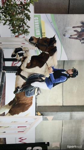 Equitation - gilet dur cso  - photo 6