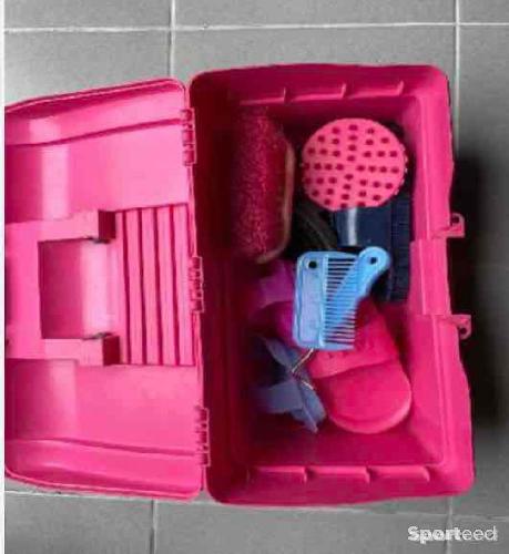 boîte de pansage avec brosses