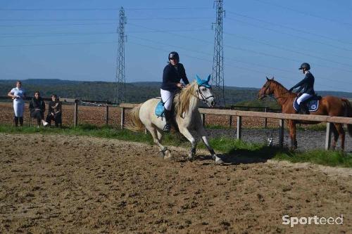 Equitation -  Veste de concours  - photo 3