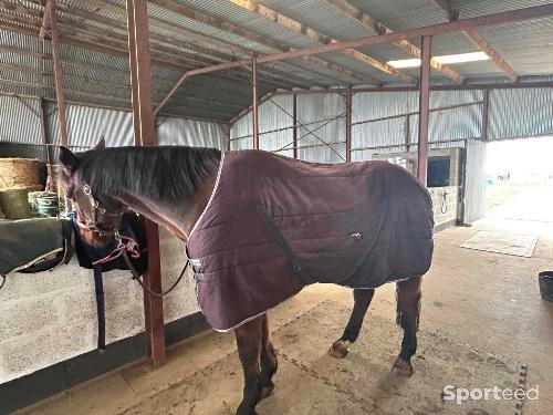 Couverture Ecurie Horseware 